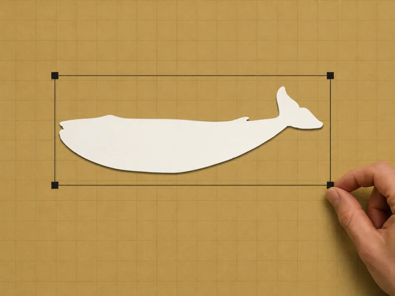 Step two, resize: a fingertip dragging the bottom-right corner handle of the white blue whale cut-out to make it bigger